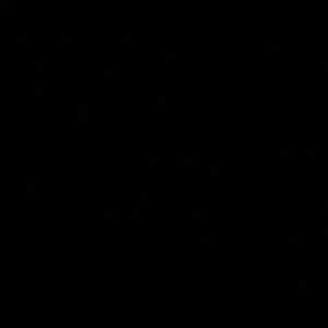 Meet your Posher, Yasmine